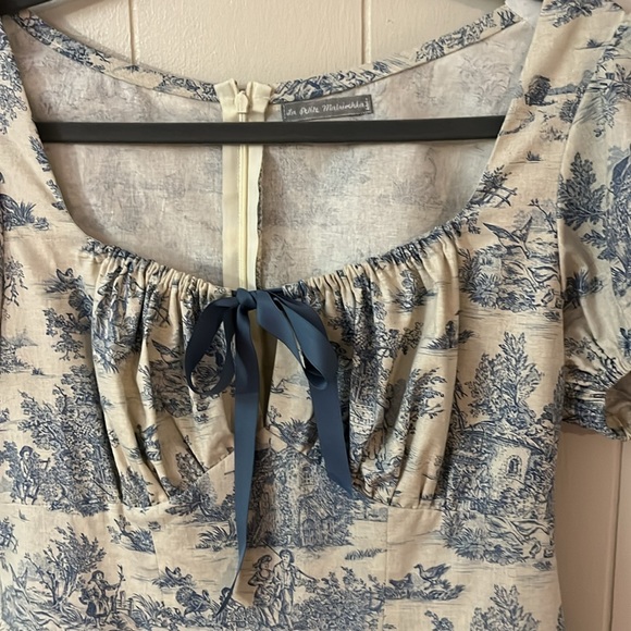 Cute Cottagecore Fit and Flare Toile de Jouy Blue & Ivory Dress Sz 6 - Picture 3 of 8